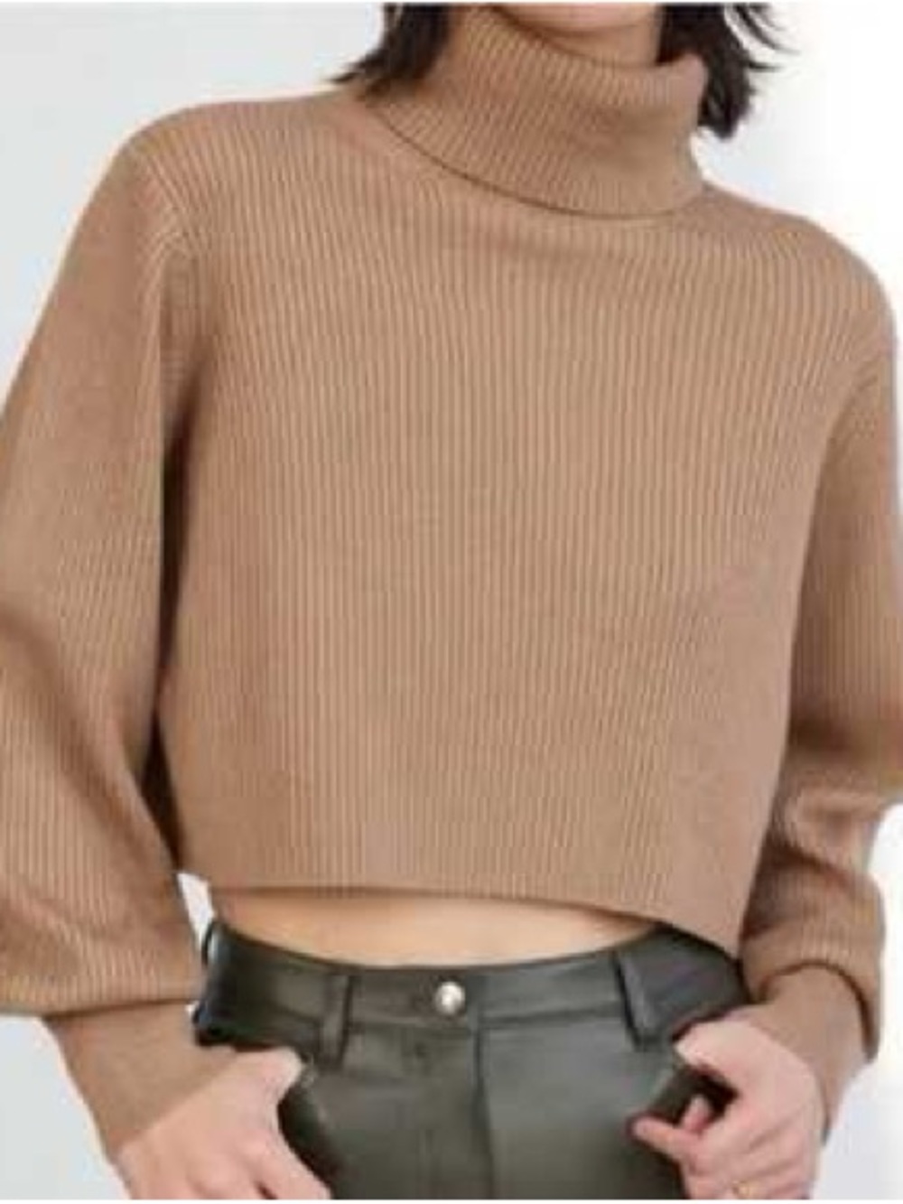 Aritzia Wilfred Sz M Rebecca Merino Wool Tan Turtleneck Sweater